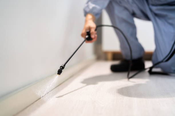 Bed Bug Pre-Treatment Preparation Assessment in Sand Hill