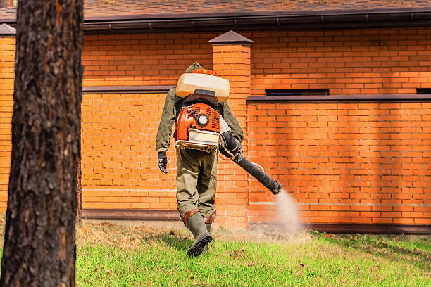 Bed Bug Clearance Verification and Documentation in Sand Hill
